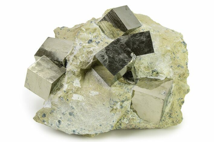 Museum Quality Pyrite Cube Cluster In Matrix - Spain #325094